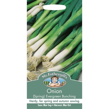 UK/FO-ONION (Spring) Evergreen Bunching - image 1
