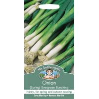 UK/FO-ONION (Spring) Evergreen Bunching - image 1