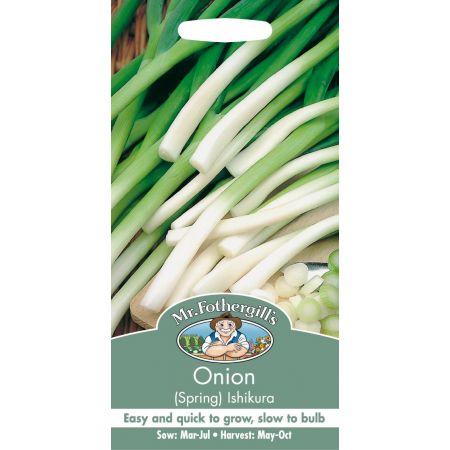 UK/FO-ONION (Spring) Ishikura - image 1
