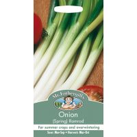 UK/FO-ONION (Spring) Ramrod - image 1