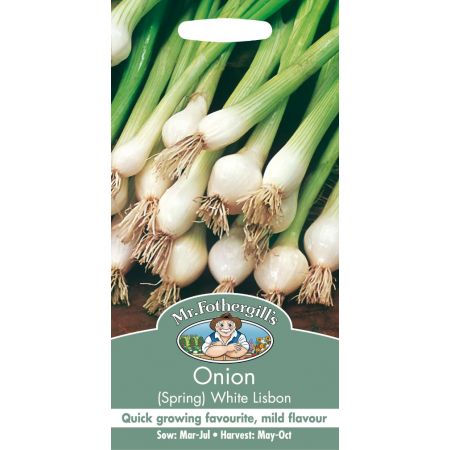 UK/FO-ONION (Spring) White Lisbon - image 1