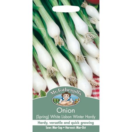 UK/FO-ONION (Spring) White Lisbon Winter Hardy - image 1