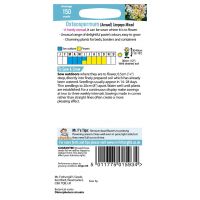 UK/FO-OSTEOSPERMUM (Annual) Limpopo - image 2