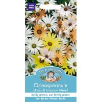 UK/FO-OSTEOSPERMUM (Annual) Limpopo - image 1