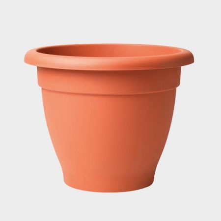 Palladian Planter 30Cm Terracotta