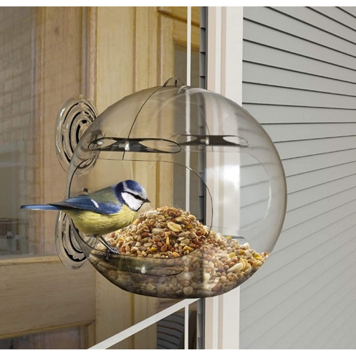 cat window bird feeder cat window bird feeder