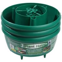 Plant Halos 3 Pack - image 1