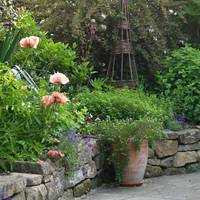 Plants for the Garden