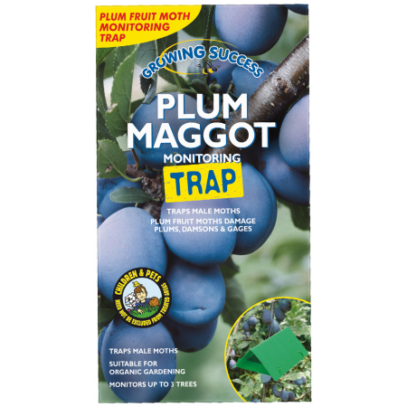 Plum Maggot Monitoring Trap