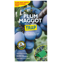 Plum Maggot Monitoring Trap