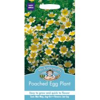 UK/FO-POACHED EGG PLANT - image 1