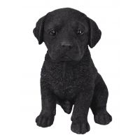 Pet Pals Black Labrador Pup F