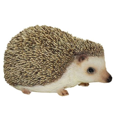 Pet Pals Pygmy Hedgehog F