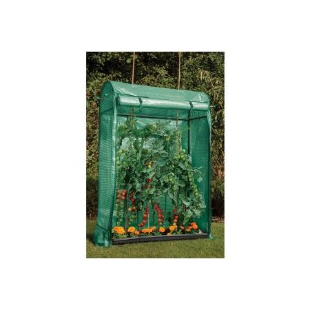 Premium Tomato Growhouse - image 1