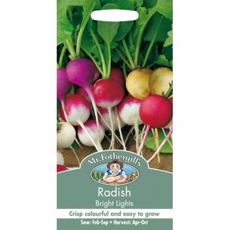 UK/FO-RADISH Bright Lights - image 1