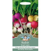 UK/FO-RADISH Bright Lights - image 1