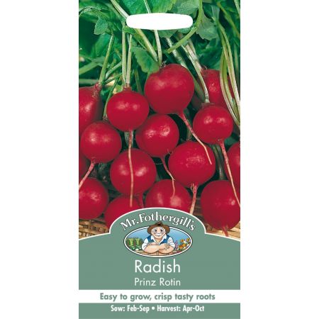 UK/FO-RADISH Prinz Rotin - image 1