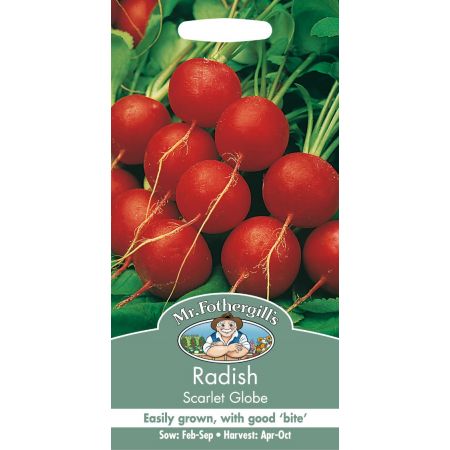 UK/FO-RADISH Scarlet Globe