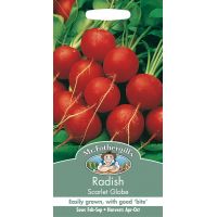 UK/FO-RADISH Scarlet Globe