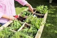 RAISED HERB PLANTER ZEST - image 4