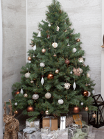 Real Christmas Trees