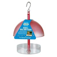 ROBIN AND SMALL BIRD FEEDER