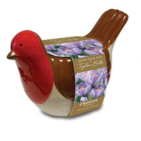 Robin Planter