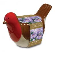 Robin Planter