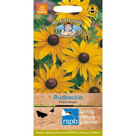 UK/FO-RUDBECKIA Marmalade - image 1