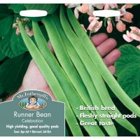 UK/FO-RUNNER BEAN Celebration - image 1