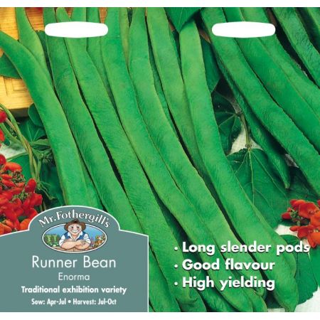 UK/FO-RUNNER BEAN Enorma - image 1