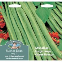 UK/FO-RUNNER BEAN Lady Di - image 1