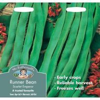 UK/FO-RUNNER BEAN Scarlet Emperor - image 1