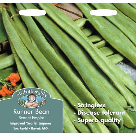 UK/FO-RUNNER BEAN Scarlet Empire (Stringless) - image 1