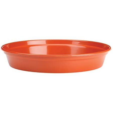 Saucer Terra 10"