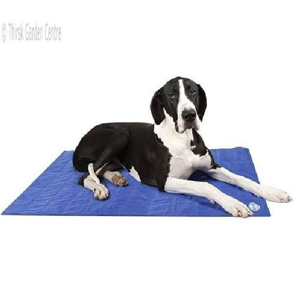 dog mat large