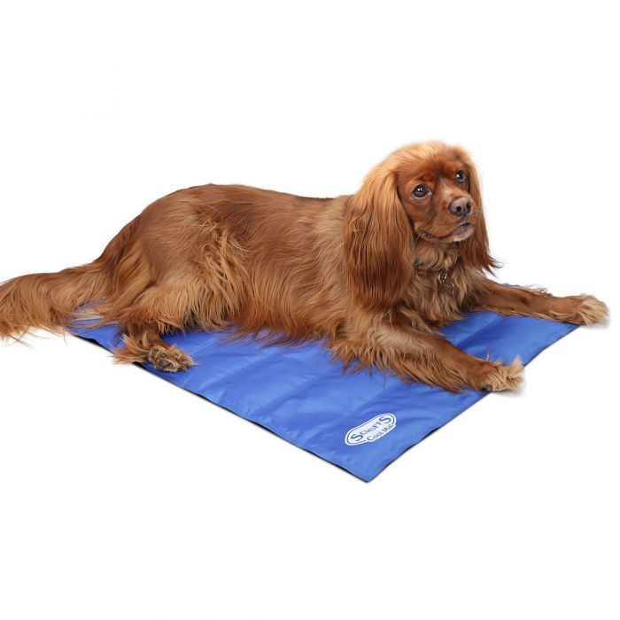 Onhandig inch levenslang Scruffs Dog Cool Mat Medium Blue - Thirsk Garden Centre