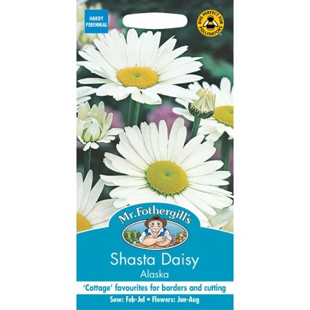 UK/FO-SHASTA DAISY Alaska - image 1