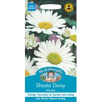 UK/FO-SHASTA DAISY Alaska - image 1