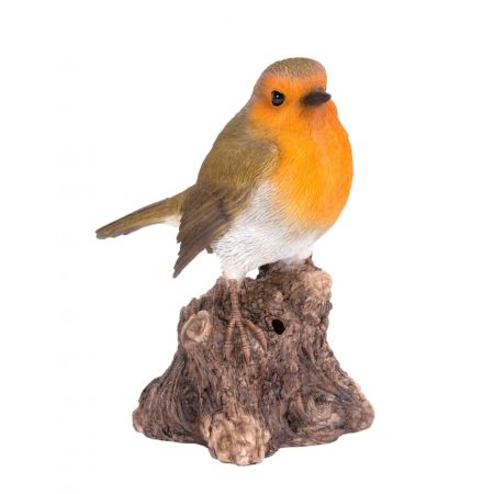 Singing Robin on Stump F