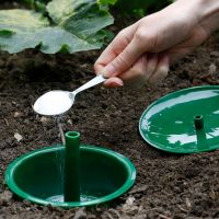 Slug And Snail Trap Growing Success - image 3
