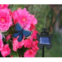 Solar Flutterby Butterfly - image 3