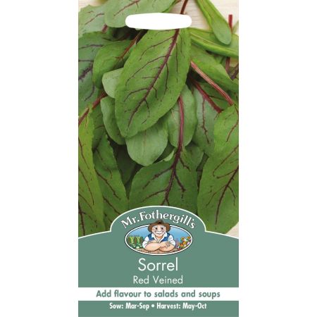 UK/FO-SORREL Red Veined - image 1