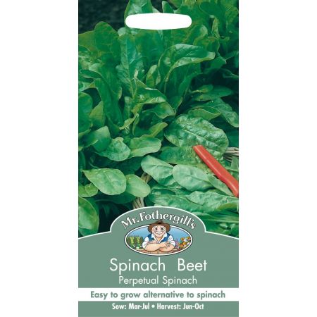 UK/FO-SPINACH BEET Perpetual Spinach - image 1
