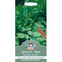 UK/FO-SPINACH BEET Perpetual Spinach - image 1