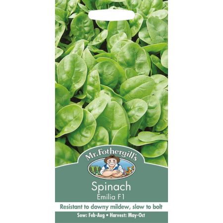 UK/FO-SPINACH Emilia F1 - image 1