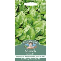 UK/FO-SPINACH Emilia F1 - image 1