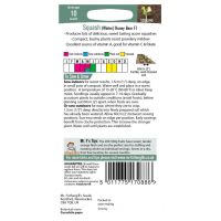 UK/FO-SQUASH (Winter) Honey Bear F1 - image 2