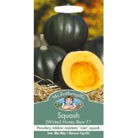 UK/FO-SQUASH (Winter) Honey Bear F1 - image 1
