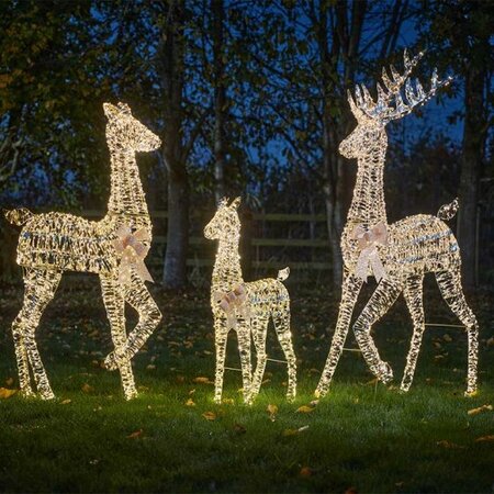 STAG 150cm GOLD TWIST
